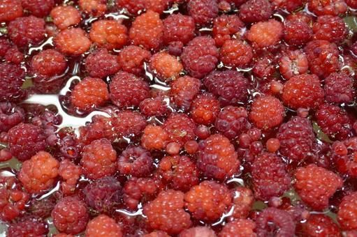 Washing raspberries03, JPG