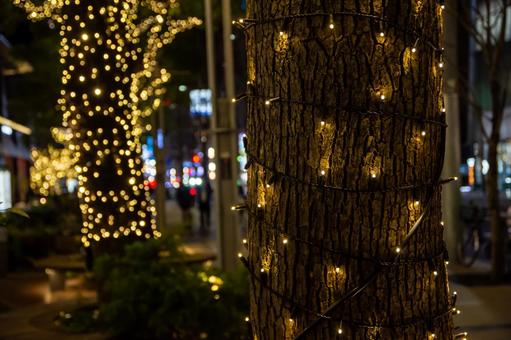 六本木のイルミネーション 六本木,イルミネーション,ライトアップの写真素材