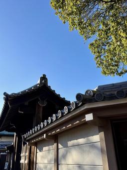 Photo, worshipers, purification, autumn, 