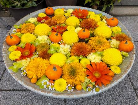 色鮮やかな花手水 花びら,フラワー,自然の写真素材