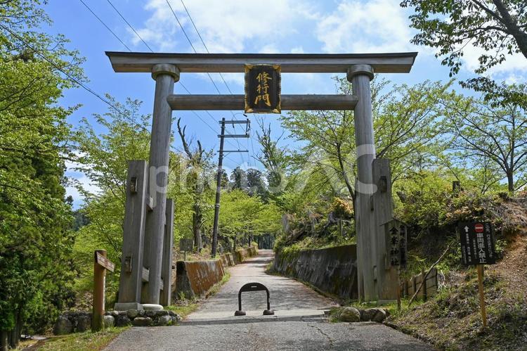 奈良・吉野 金峯神社 修行門 金峯神社,修行門,鳥居の写真素材