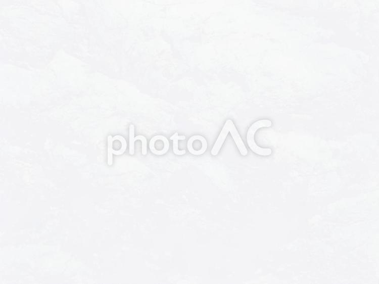 グレーの背景素材・岩石の透かし模様 岩,石,背景素材の写真素材