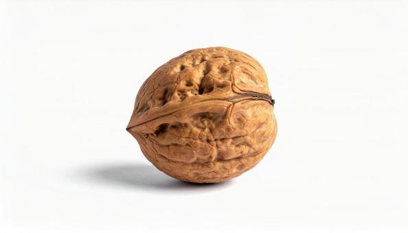 白い背景にクルミの写真