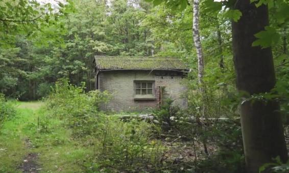 森の中の廃墟(小屋) 山奥,廃墟,古いの写真素材