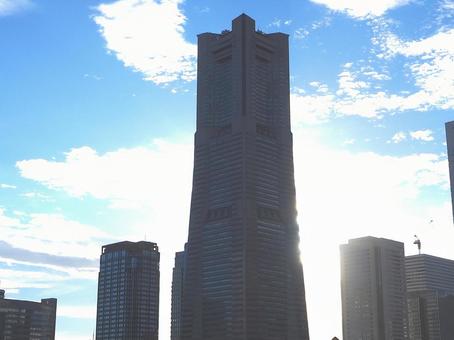 逆光の高層ビル 逆光の高層ビルの写真