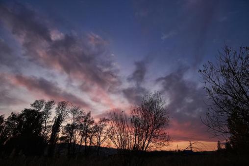 夕焼け 2025/11/16 夕焼け,夕暮れ,夕方の写真素材