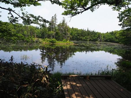 Photo, shiretoko, lake, reflection, 