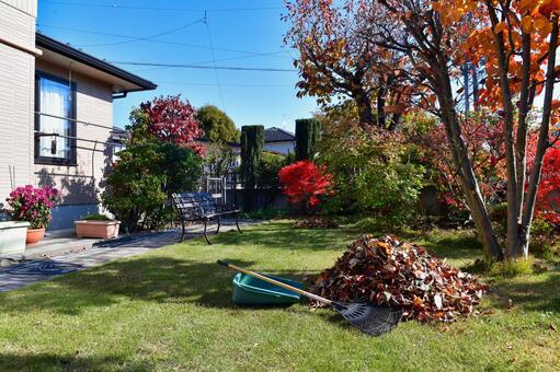 自宅の庭で落ち葉掃除 落ち葉,掃除,ボランティアの写真素材