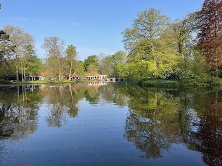 キューケンホフ公園 キューケンホフ,アムステルダム,オランダの写真素材