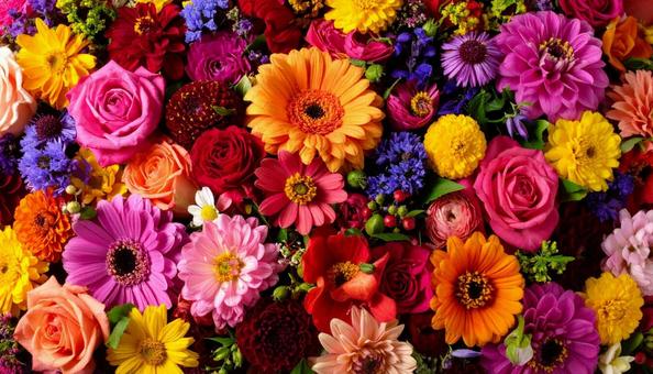 花壁紙 花壁紙の写真