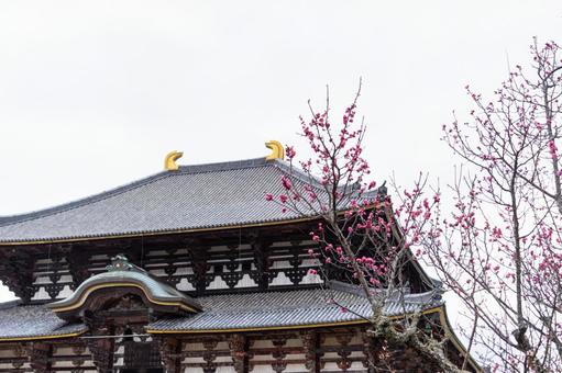 奈良 東大寺と梅の花 奈良 東大寺と梅の花の写真