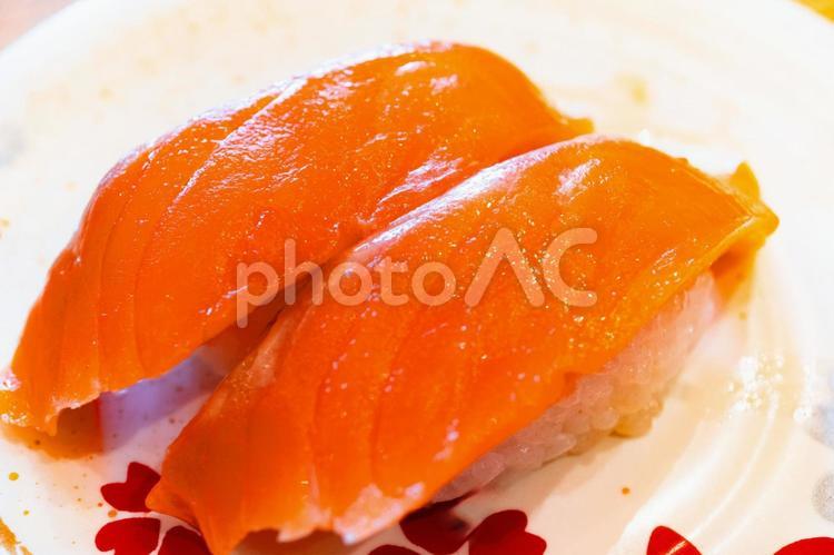 サーモンのにぎり寿司 サーモン,にぎり寿司,寿司の写真素材