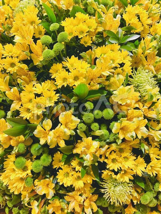黄色の花 花,花束,フラワースタンドの写真素材