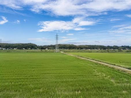 京成線車窓より 九月の佐倉市角来の田園 京成線車窓より 九月の佐倉市角来の田園の写真