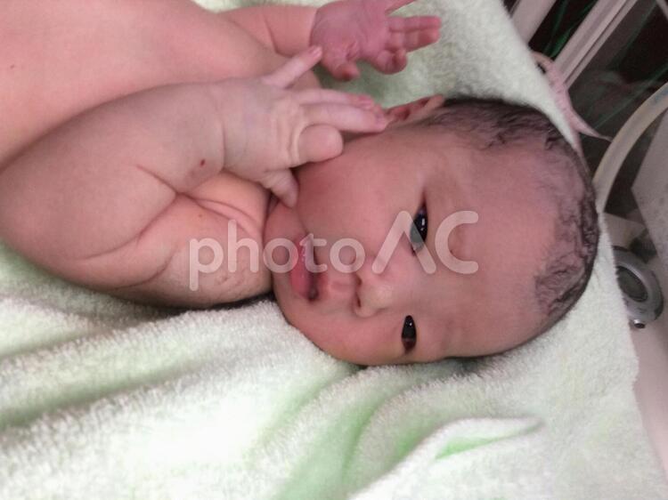 うまれたての赤ちゃん 新生児,子供,小柄なの写真素材