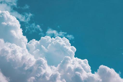 見上げる澄み切った夏の空 見上げる澄み切った夏の空の写真