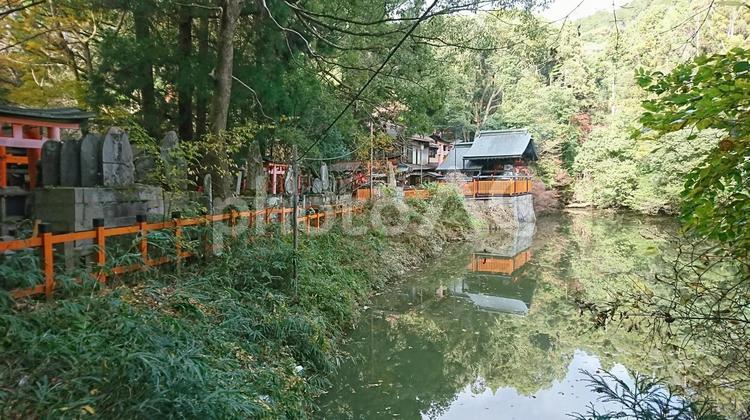 伏見稲荷大社の山道 山道,池,風景の写真素材