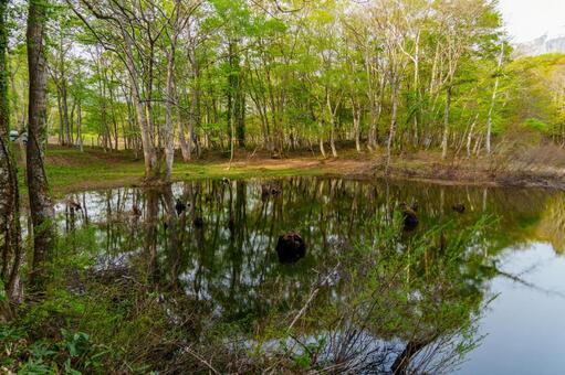 250515秋山郷天池と鳥甲山 秋山郷,長野県,栄村の写真素材