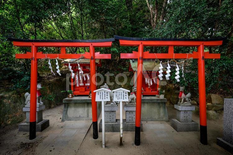 越木岩神社稲荷社、兵庫県西宮市甑岩町 風景,パワースポット,景色の写真素材