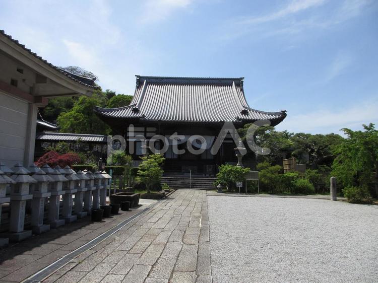 香川県-法然寺-本堂と参道 法然寺,寺,仏生山の写真素材