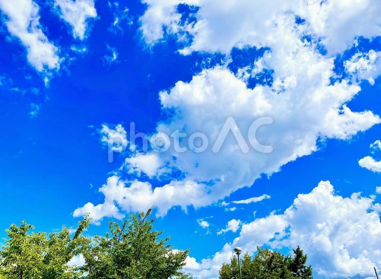 爽やかな暑い日の青空	コピースペース 青空,空,雲の写真素材