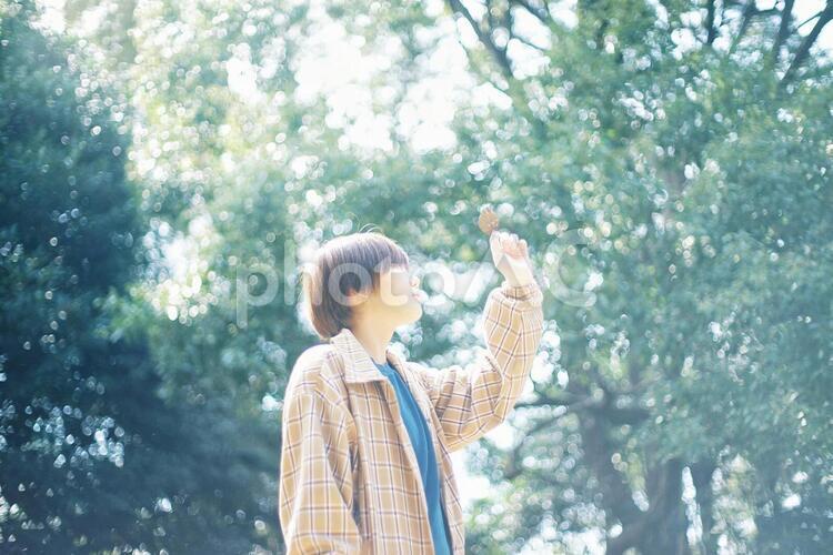 木漏れ日と女の子 ショートカット,女性,自然の写真素材