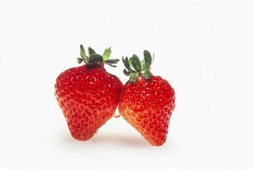 いちごのローズアップ1 いちごのローズアップ1の写真
