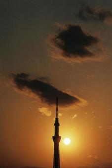 夕方の写真 (スカイツリー) 夕方の写真 (スカイツリー) 夕方,スカイツリー,東京スカイツリーの写真素材