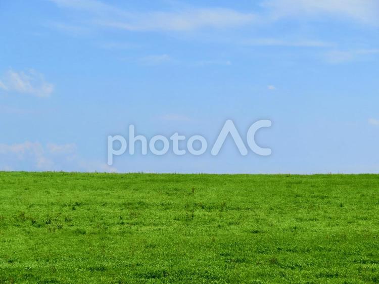 田舎の風景 自然,緑,グリーンの写真素材