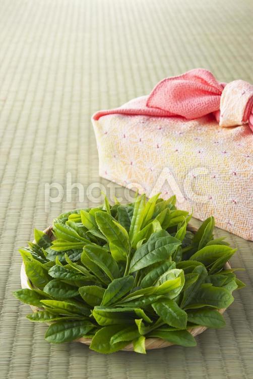 畳の上の笊に入った茶葉 茶葉,お茶,畳の写真素材