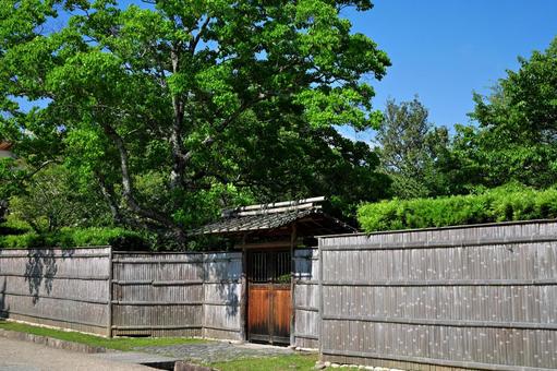 枯枝の垣根の古屋に立ち上る夏の木々の写真