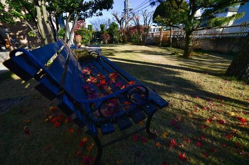 庭のベンチに落ちた紅葉 紅葉,ベンチ,庭の写真素材