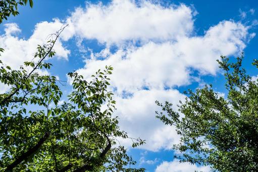 Blue sky, clouds and green 4, JPG