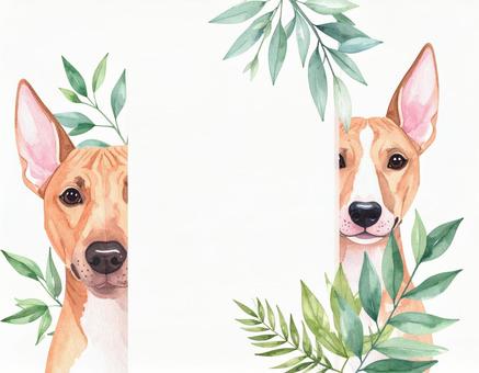 犬と植物のフレーム 犬と植物のフレームの写真