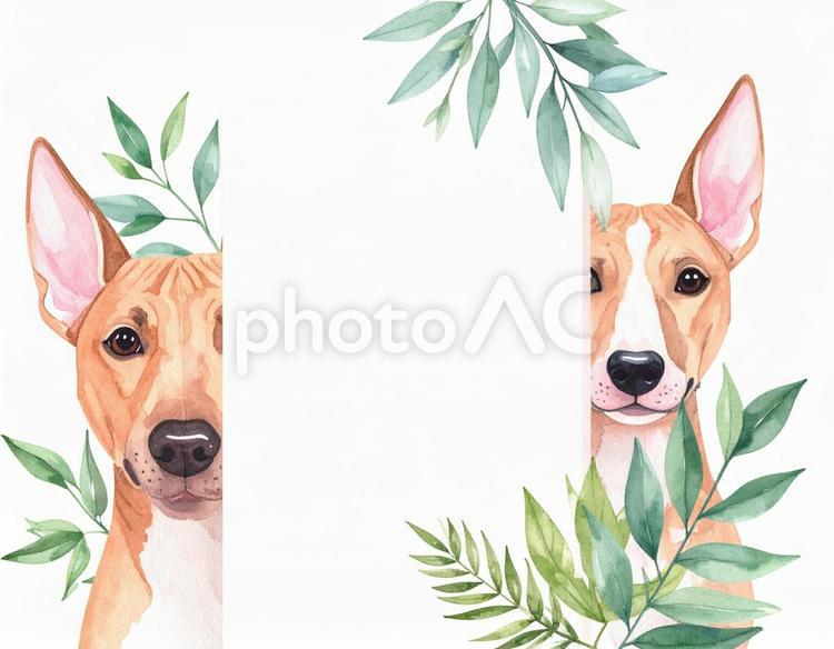 犬と植物のフレーム 犬,花,ペットの写真素材