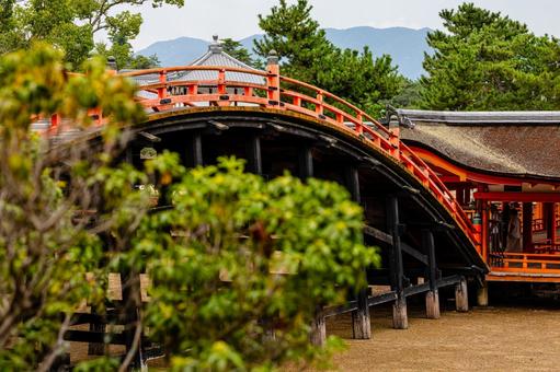 厳島神社 厳島神社 厳島神社,宮島,広島県の写真素材