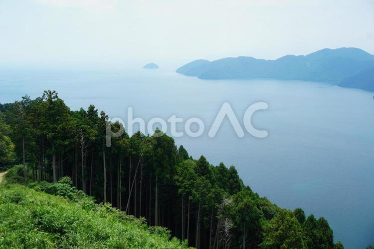 新緑と蒼い琵琶湖の風景 琵琶湖,湖,蒼いの写真素材