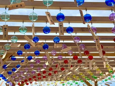 亀山八幡宮　風鈴祭り 唐戸,下関,亀山八幡宮の写真素材