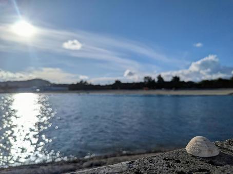 夕暮れのビーチ 海 貝殻 景色 夕暮れのビーチ 海 貝殻 景色の写真