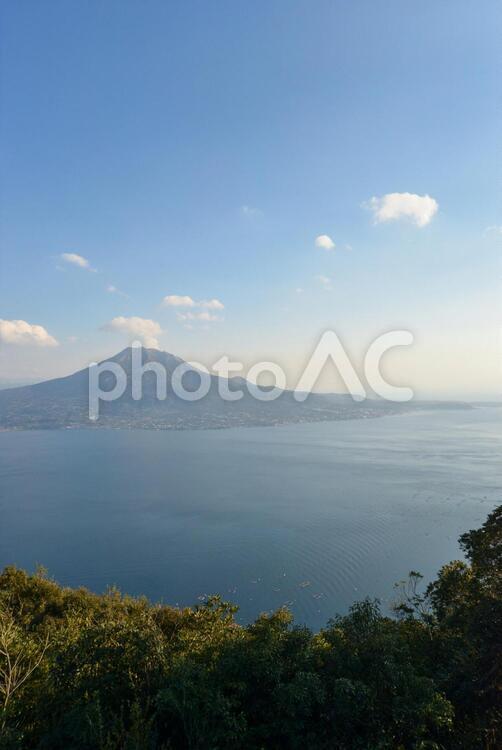 鹿児島県の海（錦江湾）と桜島の眺め縦カット 鹿児島県,桜島,山の写真素材
