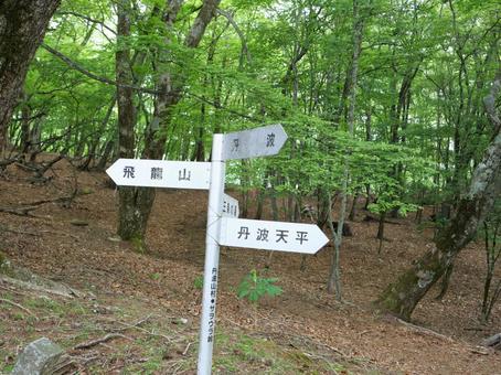 飛龍山のサヲウラ峠 飛龍山のサヲウラ峠 サヲウラ峠,飛竜山,飛龍山の写真素材
