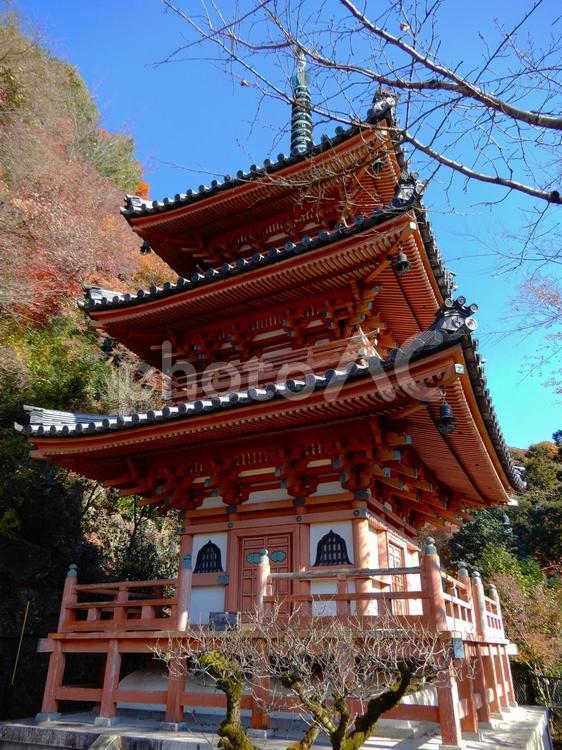 三室戸寺　三重塔 三室戸寺,三重塔,あじさい寺の写真素材