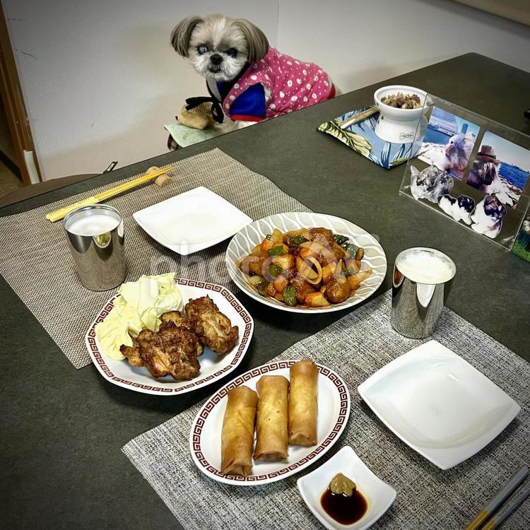 町中華風と愛犬 旦那飯,男の料理,手料理の写真素材