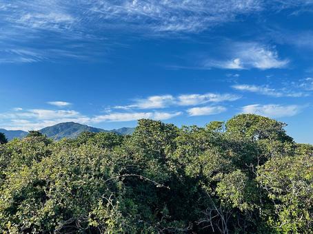 海岸　海 海岸,沿岸,海の写真素材