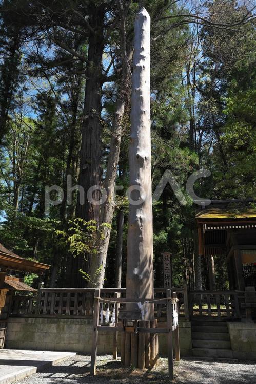 諏訪大社　下社　秋宮　二之御柱 御柱,柱,諏訪大社の写真素材