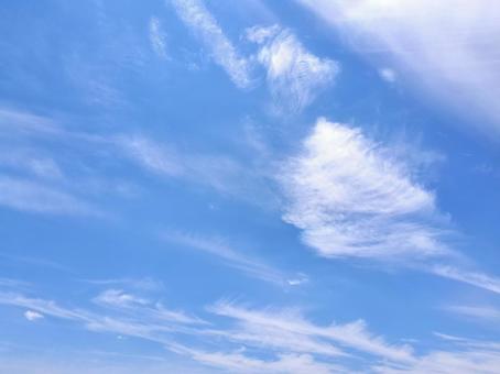 綺麗な雲が浮かぶ青空 綺麗な雲が浮かぶ青空の写真