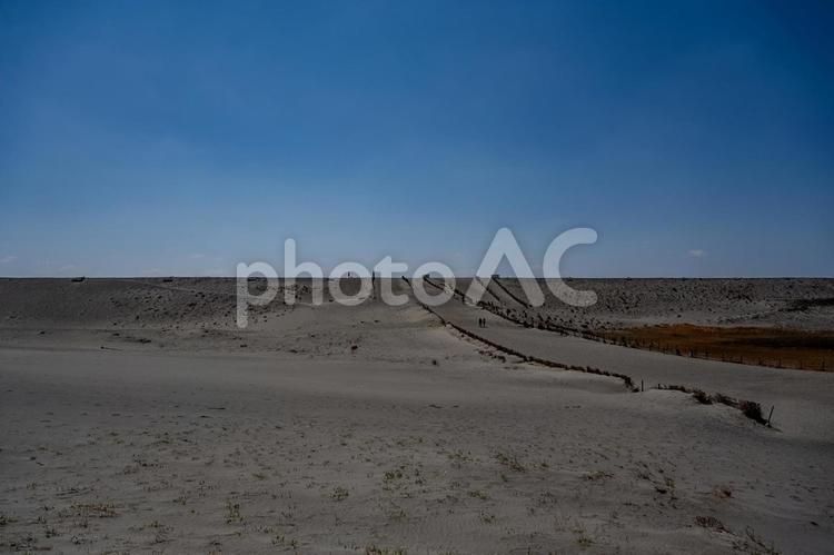 中田島砂丘周辺の景色 中田島砂丘,砂,快晴の写真素材