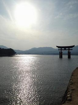 厳島神社 厳島神社の写真