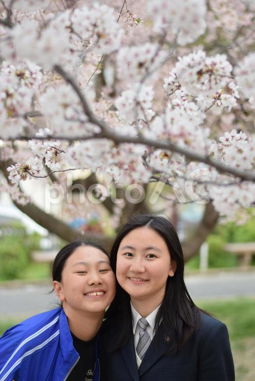 桜の下で寄り添う姉妹 花,屋外で,自然の写真素材