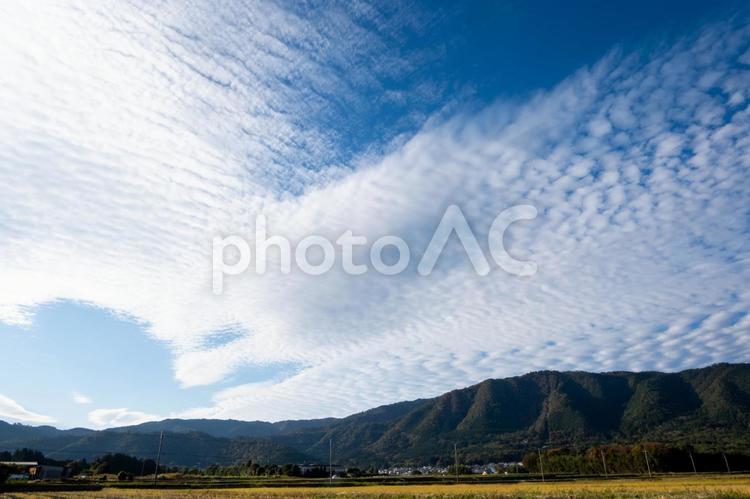風景素材　晴れた秋の日の爽やかな青空 風景,背景,田園の写真素材